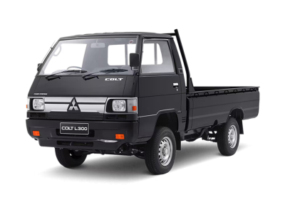 L300